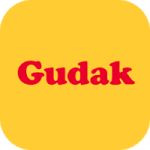 Gudak Cam Premium